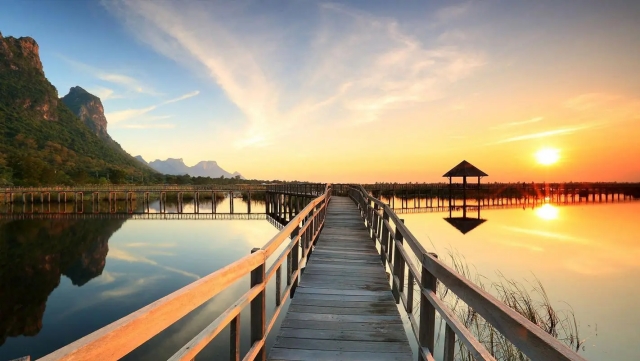 MGM：园林绿化长沙