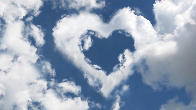 美高梅：园林绿化和土石方的关系