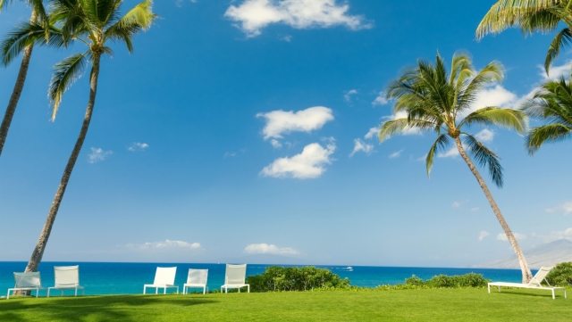 美高梅集团：园林绿化用的植物树种子