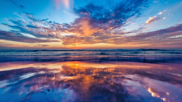 美高梅集团：园林绿化草皮种类选择