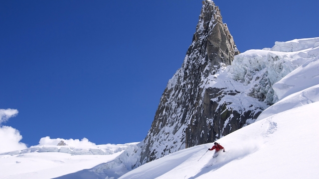 园林绿化树叶能做什么材料
