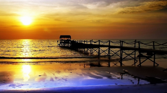 美高梅公司：园林绿化在夏天的养护时间