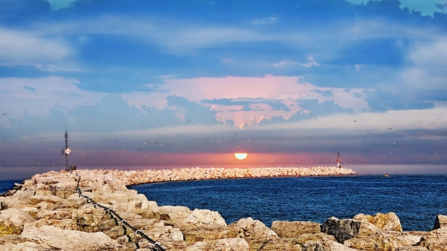 美高梅：园林绿化铺路