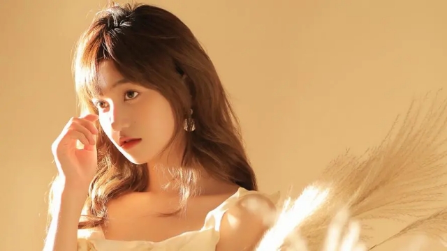 美高梅集团：园林绿化观赏芋