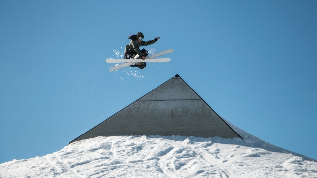 园林绿化虫害药