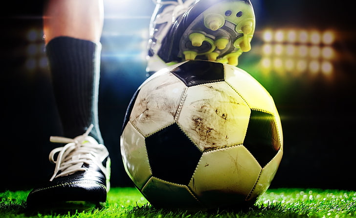 美高梅公司：园林绿化用什么护栏