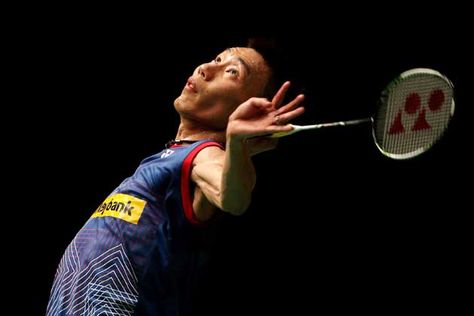 园林绿化种什么树防蚊虫