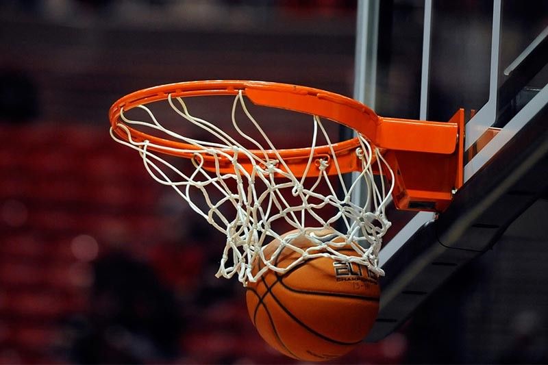 园林绿化树木用啥肥料